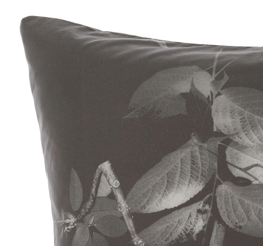 Ari European Pillowcase Chalk - Image 2