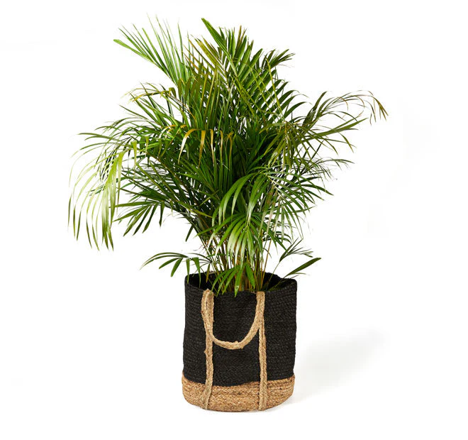 Tava Jute Basket with Handle Range Black - Image 3