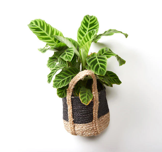 Tava Jute Basket with Handle Range Black - Image 7